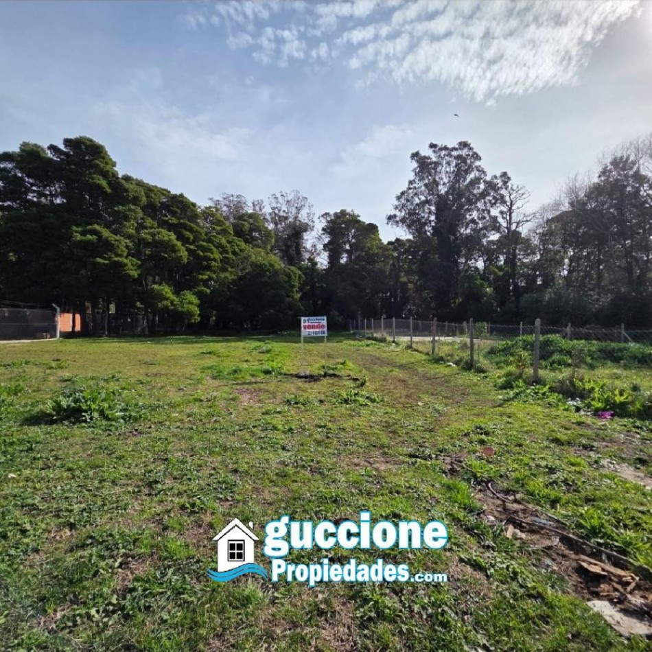 LOTE ALFAR ONEGLIA Y PEREZ BULNES 